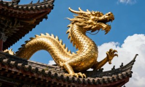 逐我来栖缑岭云，一霎风狂和雨骤的最佳生肖什么，答案解析解释落实