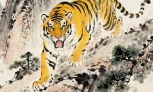 平码有路指是代表什么生肖，精选词语释义落实